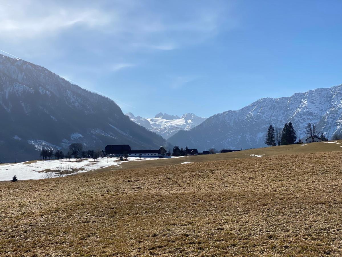 Ferienwohnungen Mikula-Hubacek Bad Aussee Dış mekan fotoğraf